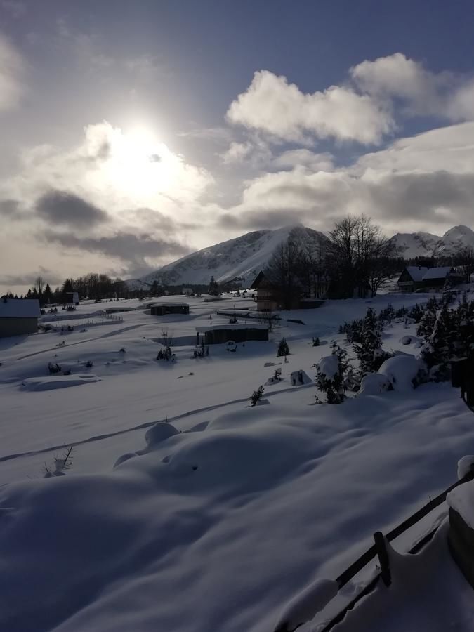 Дома для отпуска Chalet Kovačević Жабляк-24