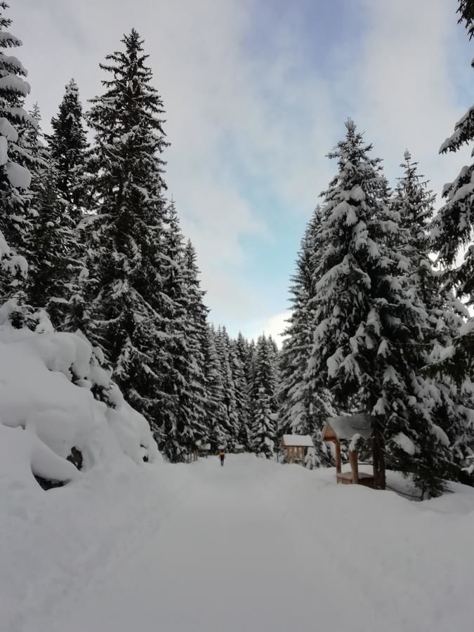 Дома для отпуска Chalet Kovačević Жабляк-34