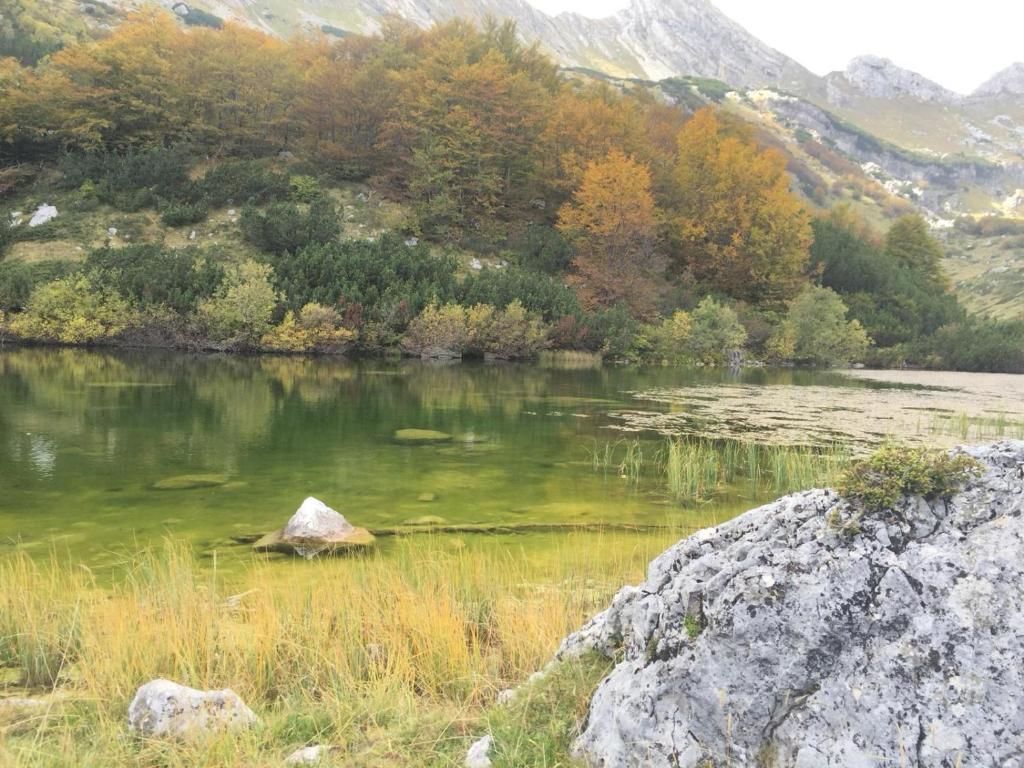 Дома для отпуска Chalet Kovačević Жабляк-66