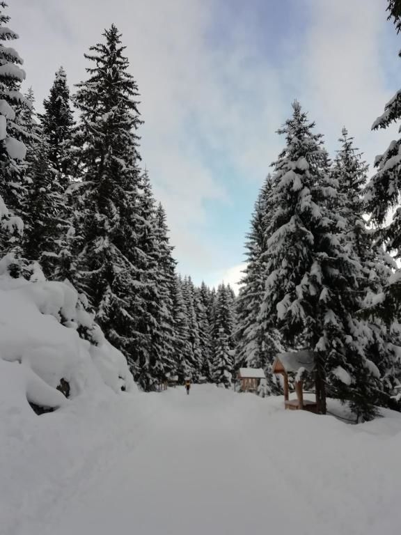 Дома для отпуска Chalet Kovačević Жабляк-68