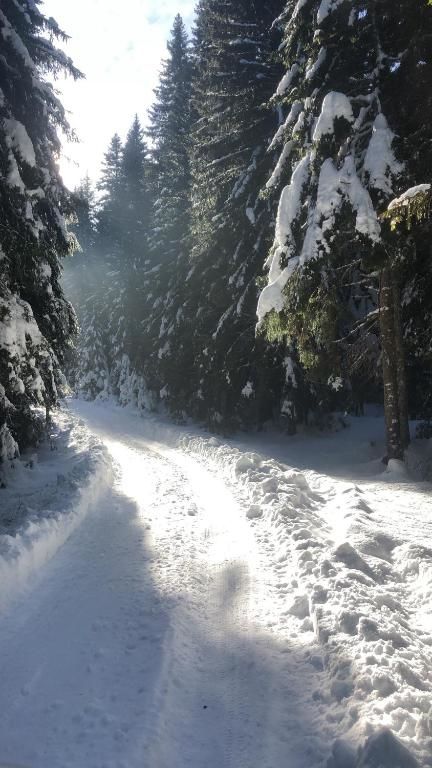 Дома для отпуска Chalet Kovačević Жабляк-70