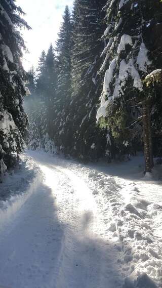 Дома для отпуска Chalet Kovačević Жабляк Дом для отпуска с 3 спальнями-30