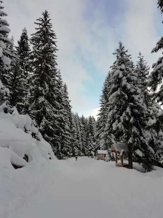 Дома для отпуска Chalet Kovačević Жабляк Дом для отпуска с 3 спальнями-31