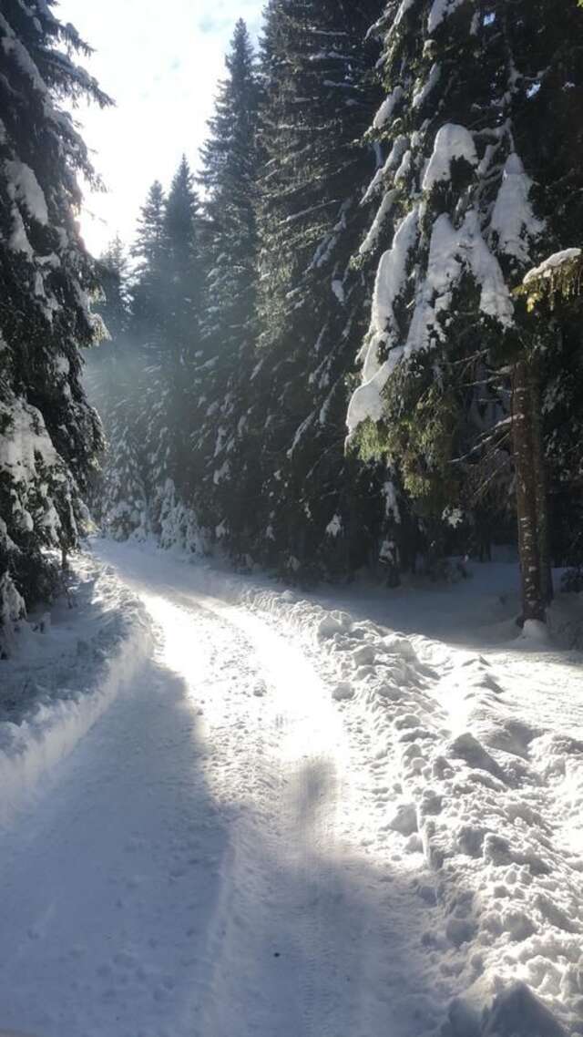 Дома для отпуска Chalet Kovačević Жабляк-32