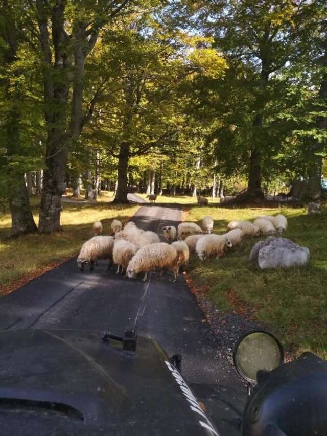 Дома для отпуска Chalet Kovačević Жабляк-64